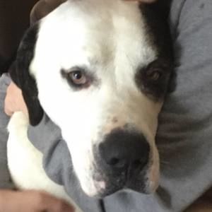 Meet your Posher, Noah